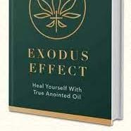 Exodus Effect