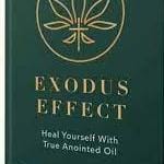 Exodus Effect