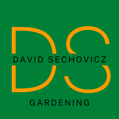 David Sechovicz
