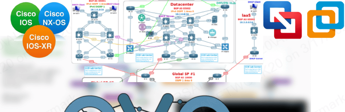 Dynamips Store