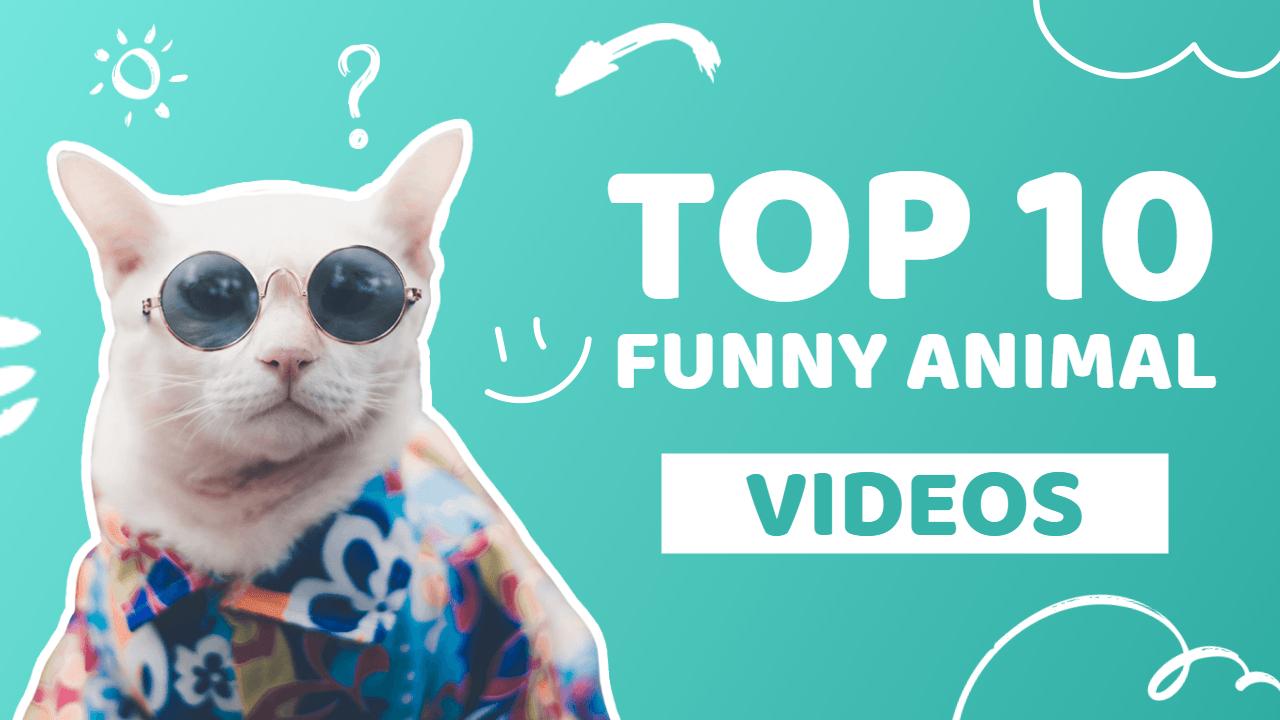 YouTube Thumbnail Template of Funny Videos