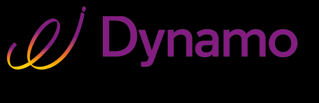 Dynamo Info Technologies