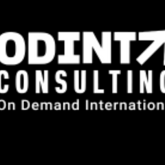 Odint Consulting
