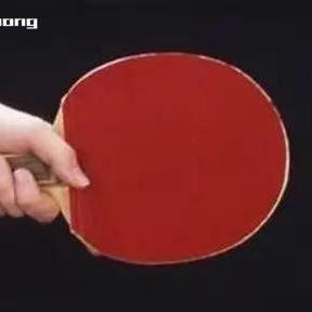 Long Pips  Table Tennis 2k