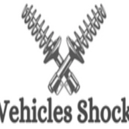 Vehicle  Shocks