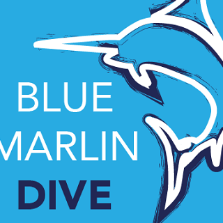 Blue Marlin Dive Blue Marlin Dive