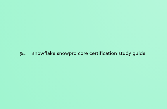 Snowprocore Practiceexam