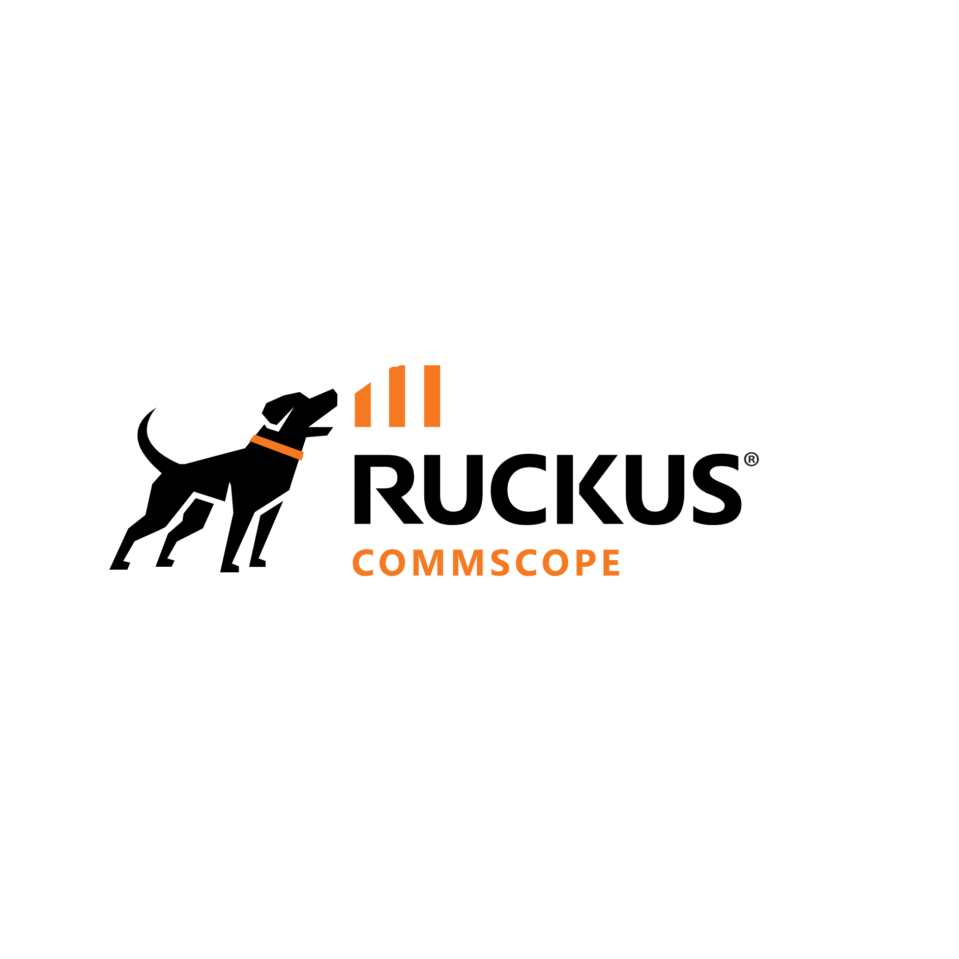 RUCKUS Networks