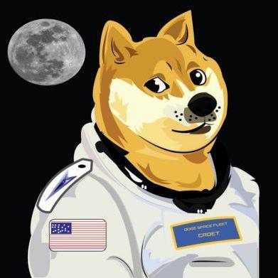 Doge Space Fleet