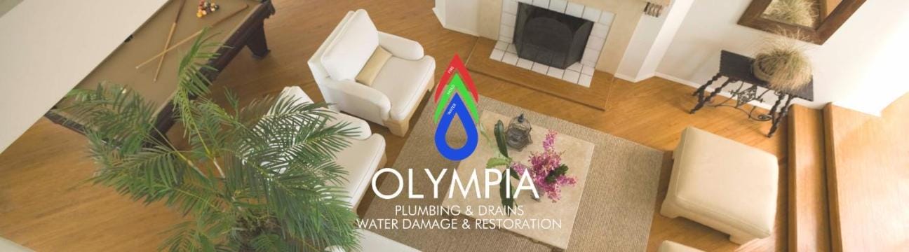 Olympia  Services