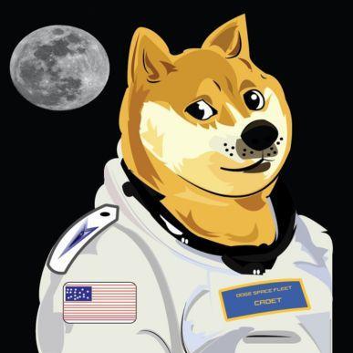 Doge Space  Fleet