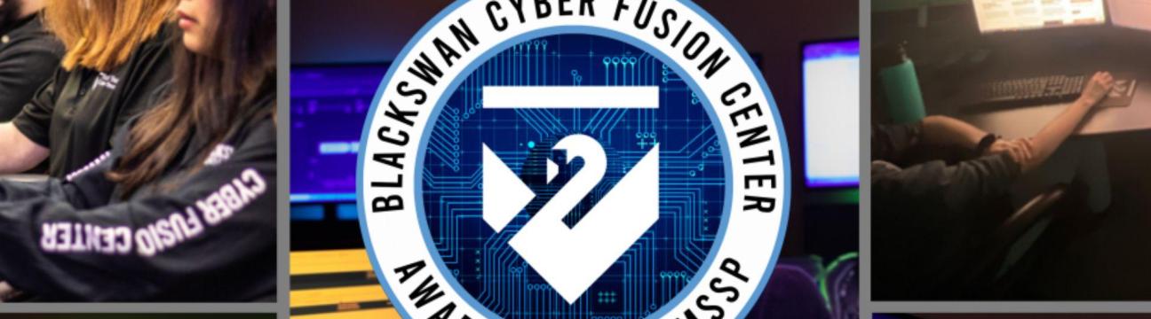 Black Swan  Cyber Security
