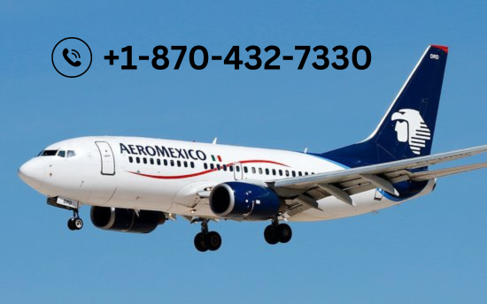 Can you Change a Name on Aeromexico Ticket? | Webyourself Social...
