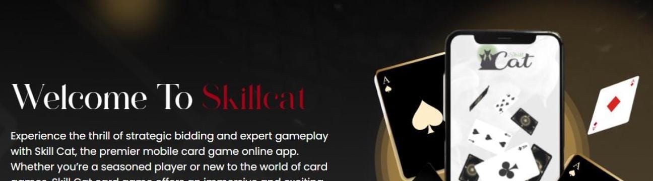 Skillcat Game