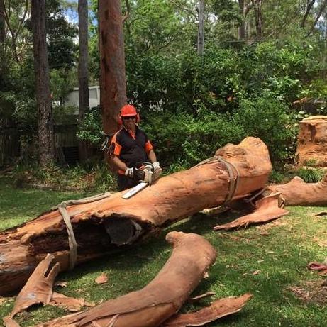 North Shore  Tree Loppers