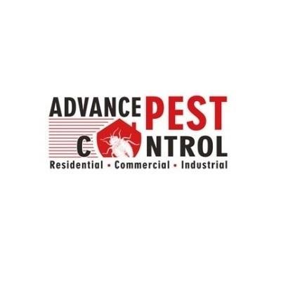 Advance Pest  Control