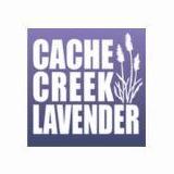 Cache Creek Lavender