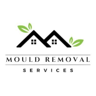 Mould Removal Service