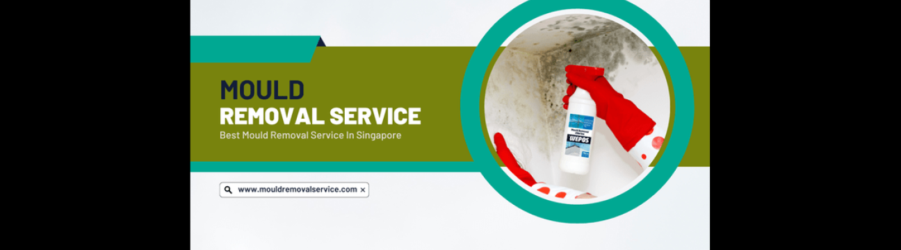 Mould Removal Service