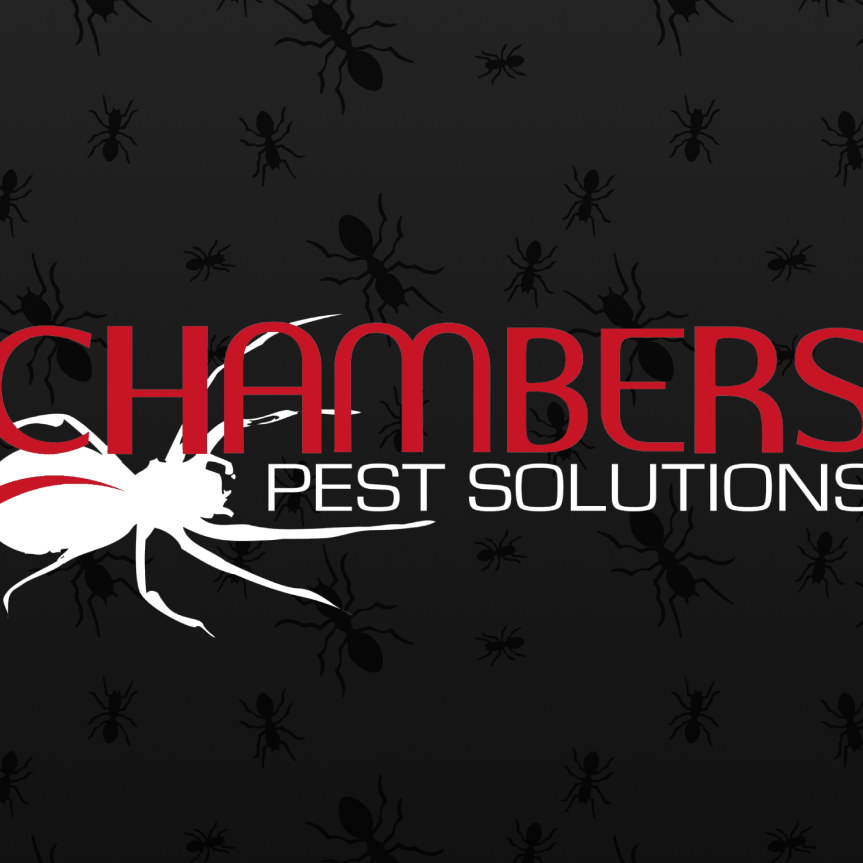 Chambers Pest Solutions