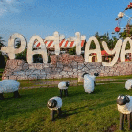 Pattaya Sheep Farm