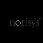 Norisys India