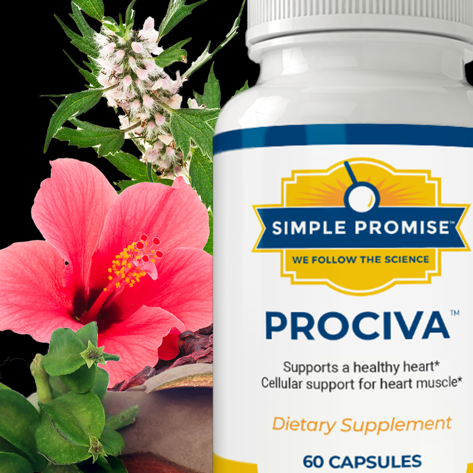 Procivausa Price