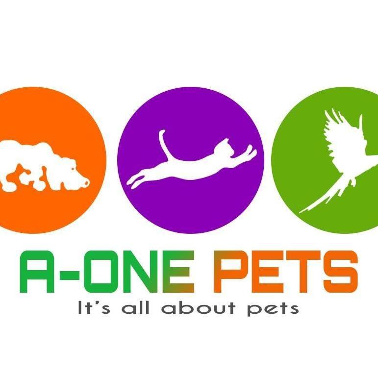 Aonepets Pets