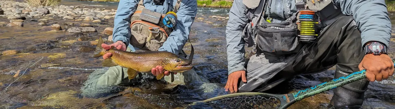 Fly Fishing  Patagonia