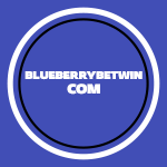 سایت بلوبری بت Blueberrybet