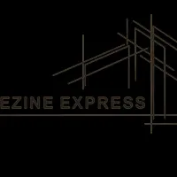 DEZINE EXPRESS