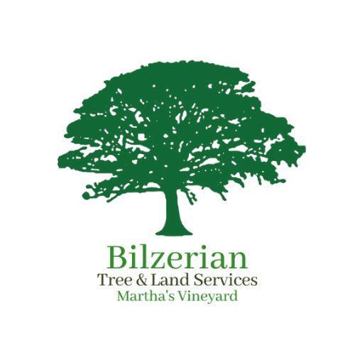 Bilzerian Tree