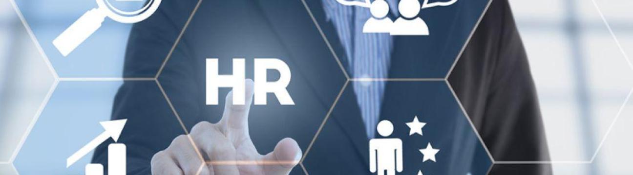 HawkHire  Hr Consultants