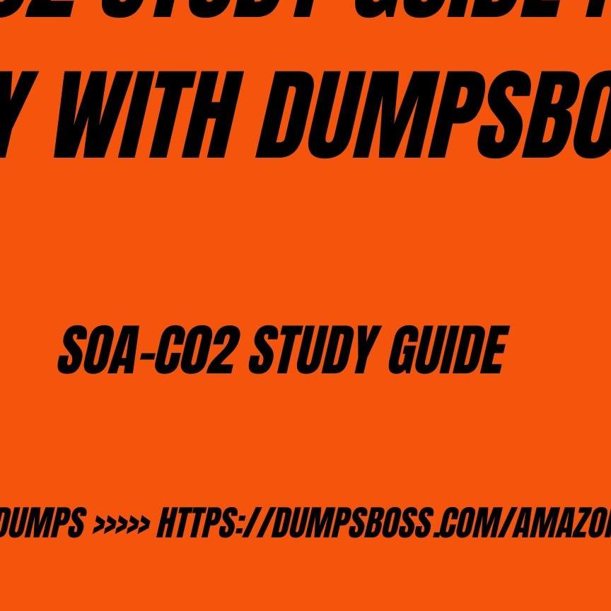 Soa Guide