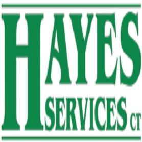 Hayes Services LLC