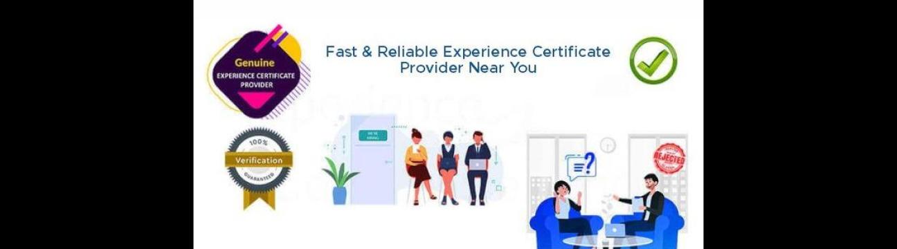 Experience Certificate India