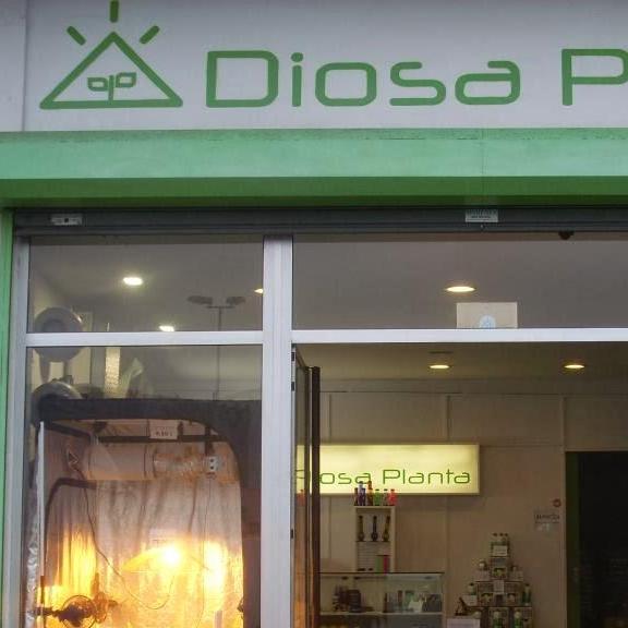 Diosa Planta