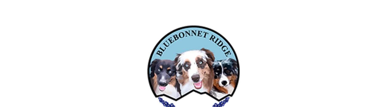 Bluebonnet Ridge Aussies