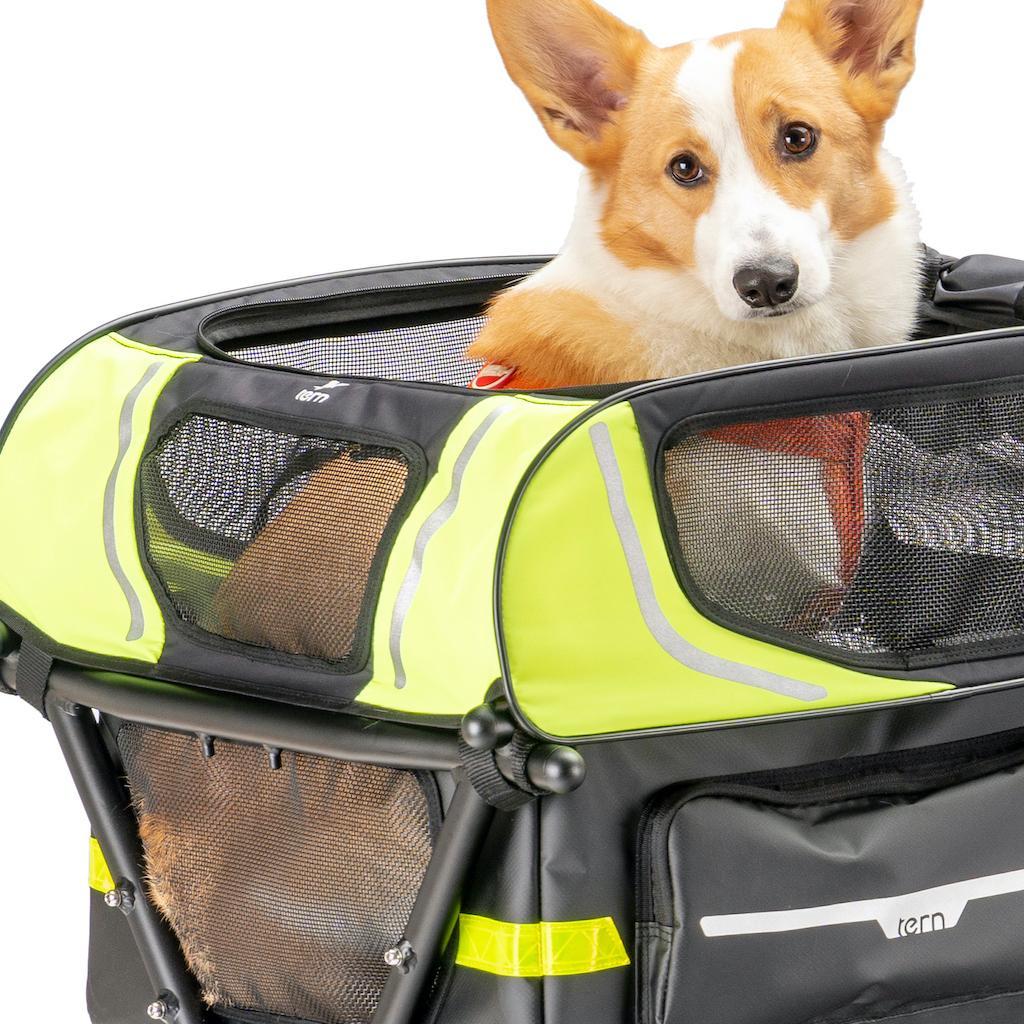 Dog Carrier43