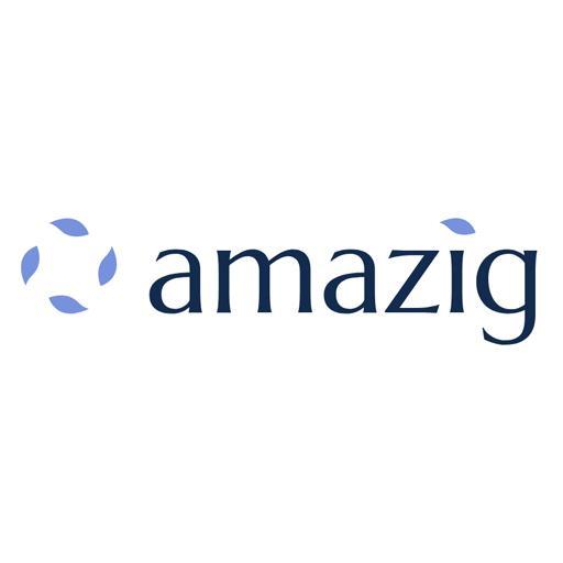 Amazig Systems