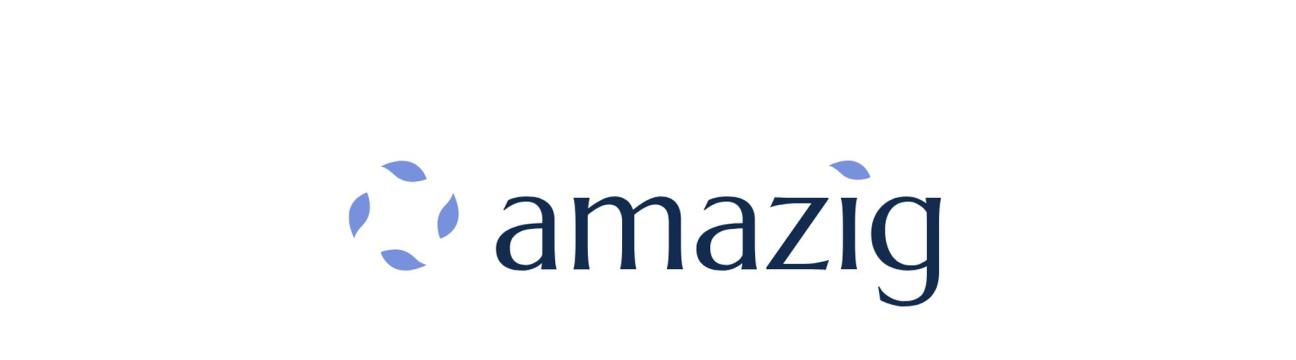 Amazig Systems