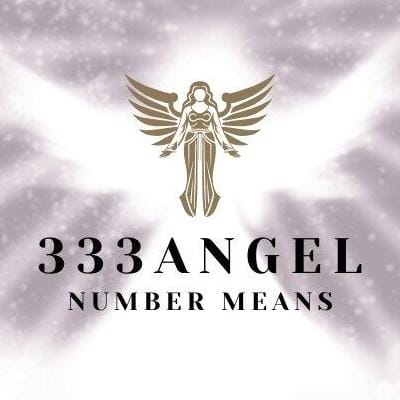 333 Angel  Number Means