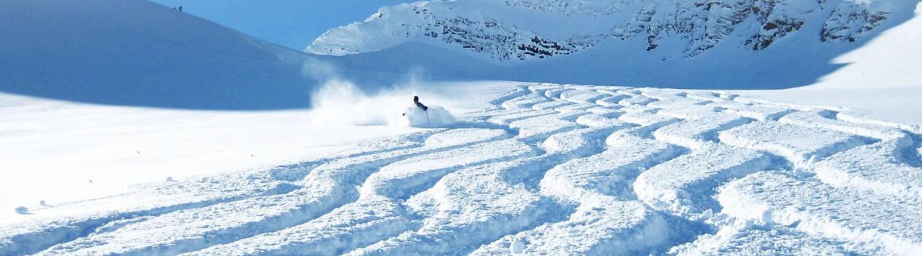 HELISKI  LLC