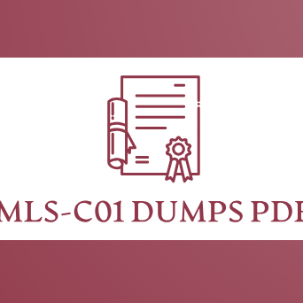 Exam Dumps