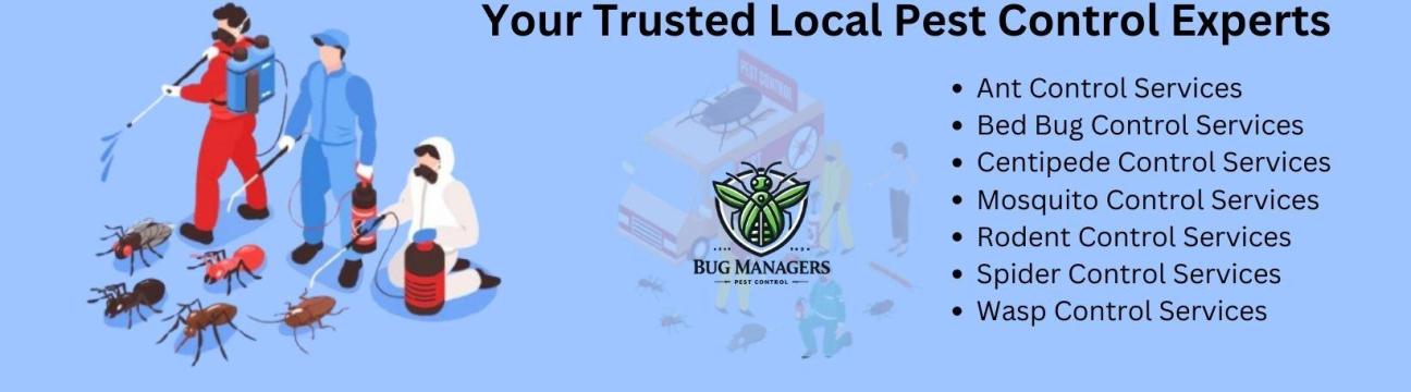Bug Managers