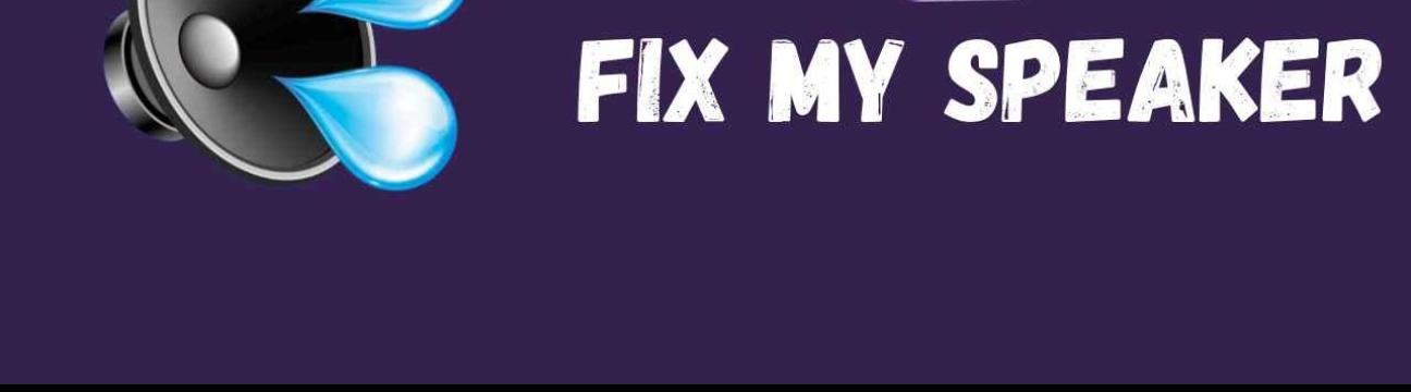 Fix My  Speaker