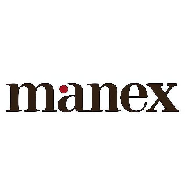 Manex Consulting