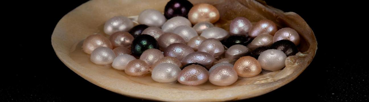 Akuna  Pearls