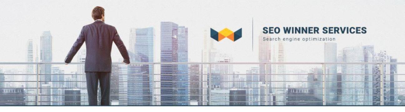 Wynnsoft SEO