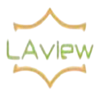 Laview WiFi Camera Setup